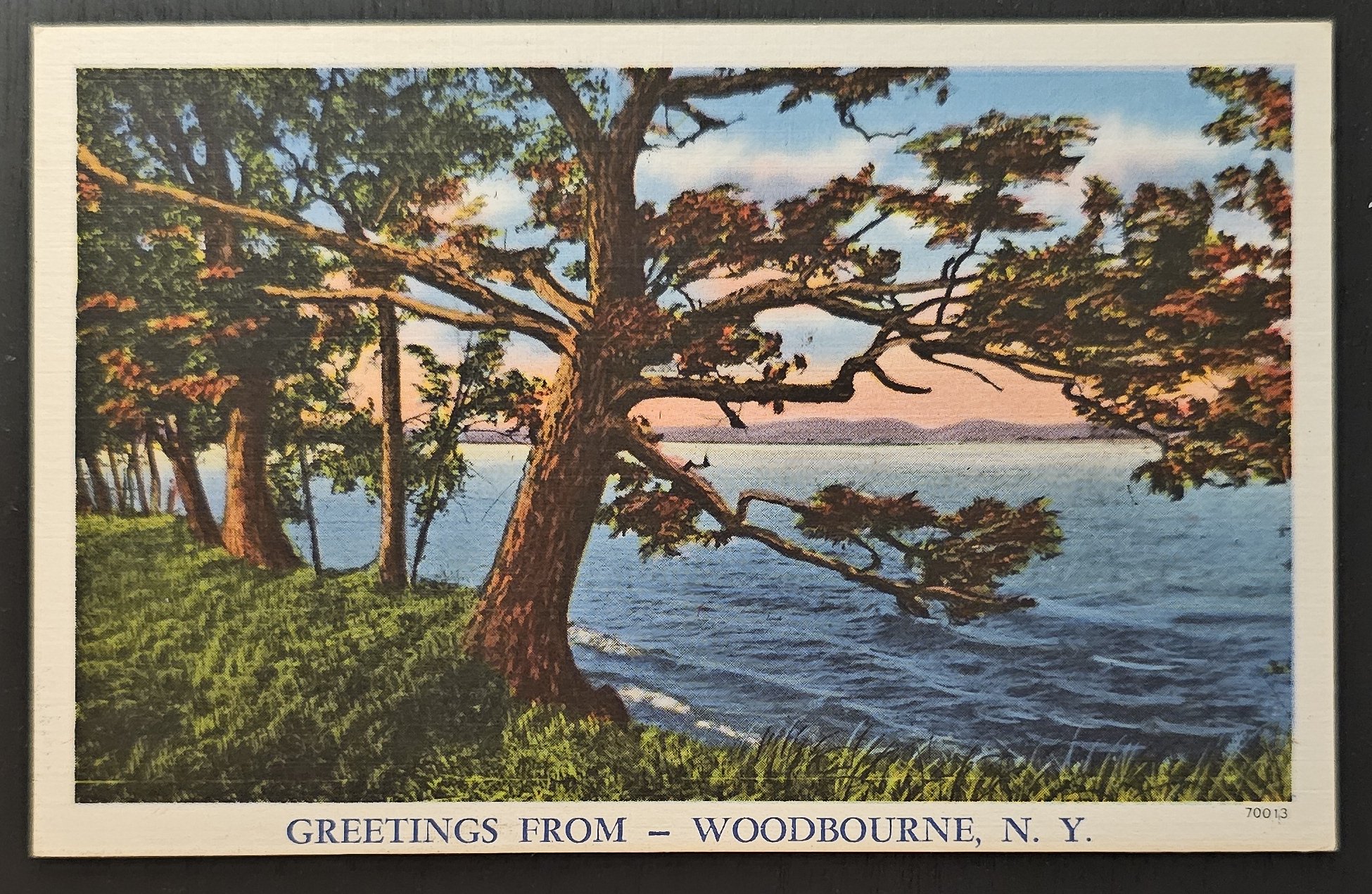 (image for) postcard USA - NY - New York #0036